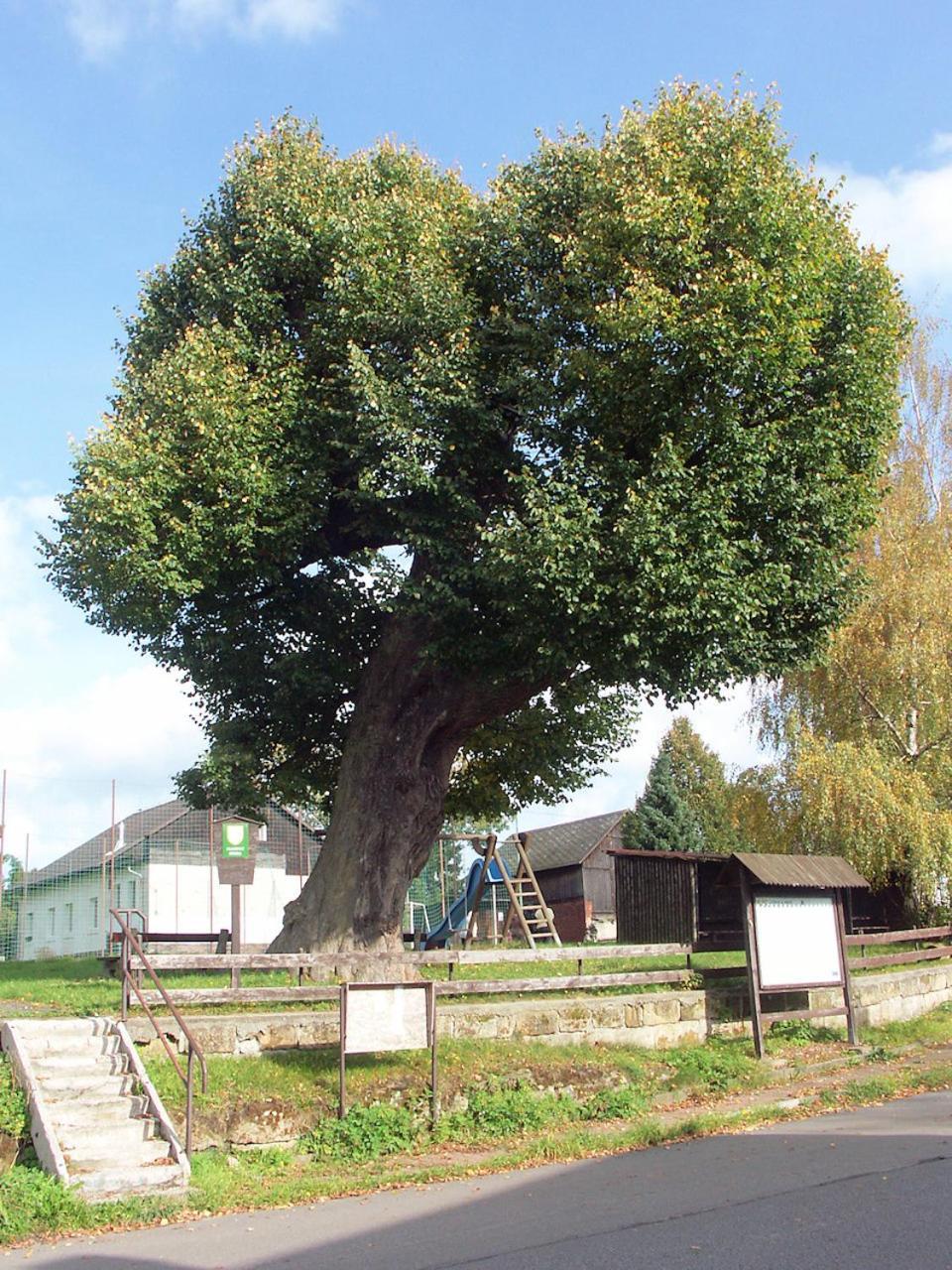 Květinové apartmány u Jordů Marenice Exterior foto